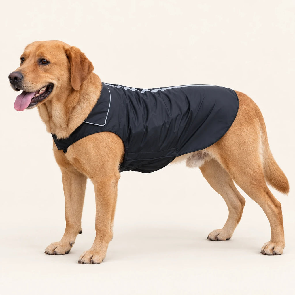 L’Imperméable